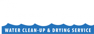 The Flood Team Logo