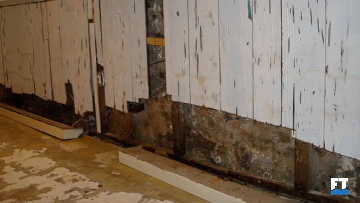 Foundation and Wall Damage