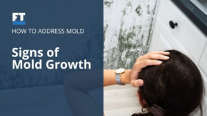 Signs of Mold Growth and How to Address It