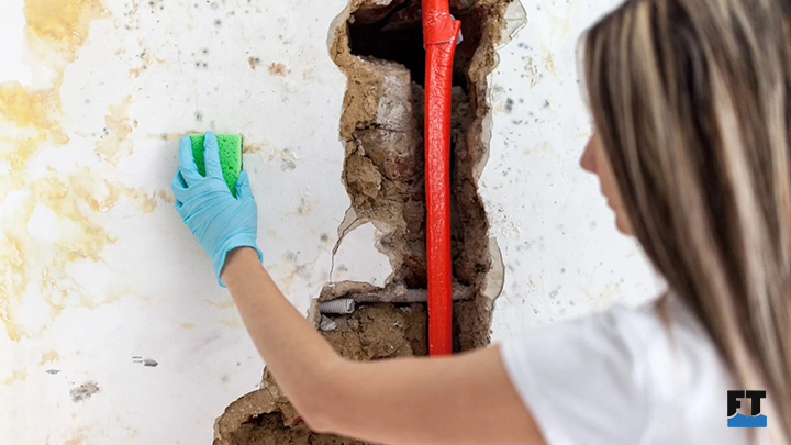 How to Prevent Mold After Water Damage