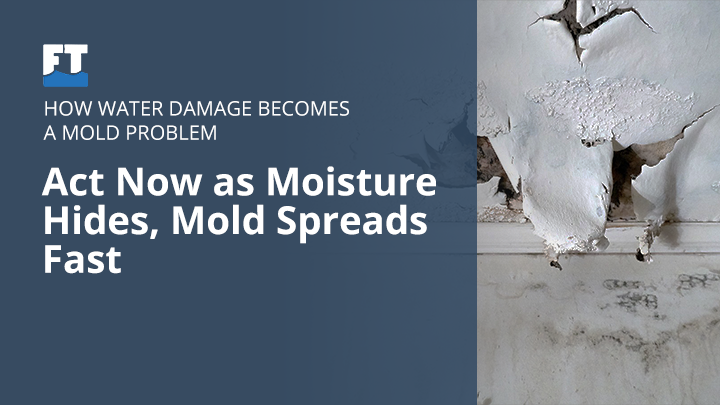 The Connection Between Water Damage and Mold Problems
