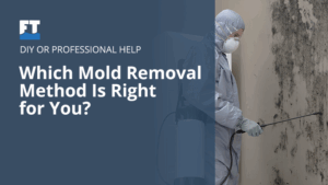 DIY Mold Removal vs. Professional Mold Remediation