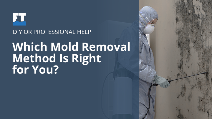 DIY Mold Removal vs. Professional Mold Remediation