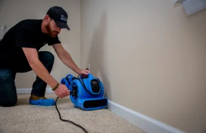 Complete Restoration & Satisfaction Guarantee